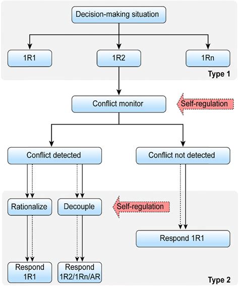 Dual Process Theories Of Individuals With Td And Individuals