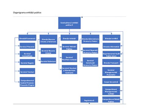 Exemplu De Planificare A Auditului Public Intern Organigrama