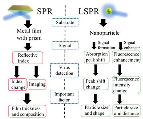 Biosensors Free Full Text Surface Plasmon Resonance Spr And