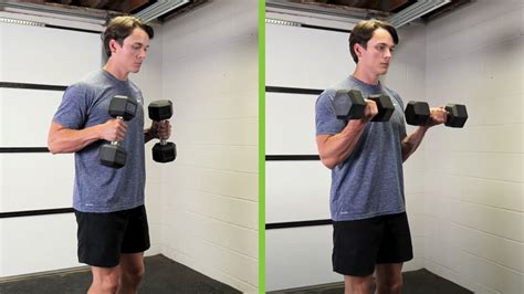 Hammer Curls Vs Biceps Curls Which One Is Really Better For Bigger