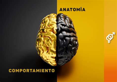 La dicotomía entre anatomía y comportamiento desmontando el