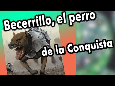 Becerrillo El Perro Asesino De La Conquista Youtube