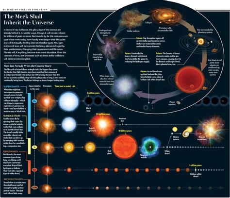 8 best Stellar Evolution Diagrams images on Pinterest | Evolution, Stars and Universe