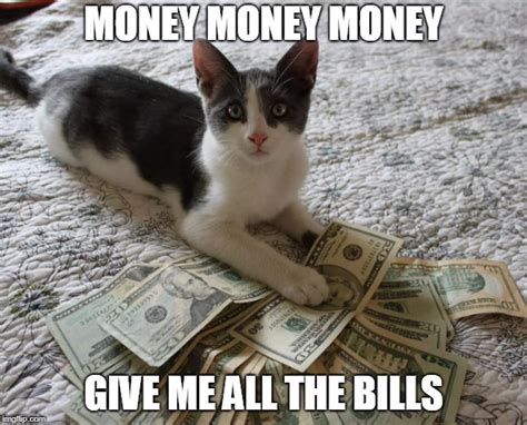 Show Me The Money Cat Meme