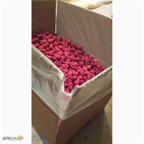 Продам малину замороженную с поля, Днепр, Малина — APKUA