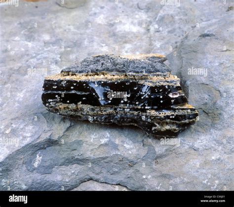 Geology obsidian igneous rock hi-res stock photography and images - Alamy