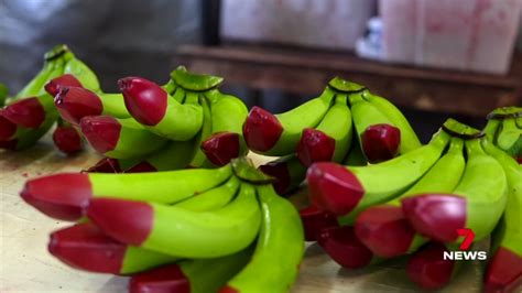 7news Townsville On Twitter Bananas Have Plenty Of Health Benefits