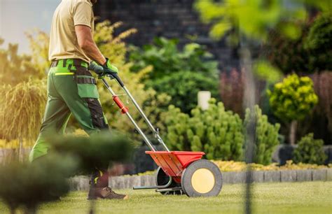 The Ideal Lawn Fertilizer Schedule | Wikilawn