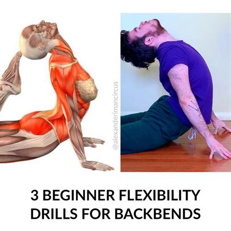 3 Beginner Backbend Stretches! | Backbend poses, Flexibility training, Shoulder flexibility