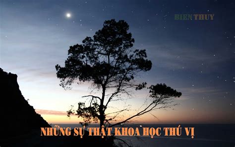 15 Hiện Tượng Sự Thật Khoa Học Thú Vị Có Lẽ Bạn Không Biết Biên Thùy