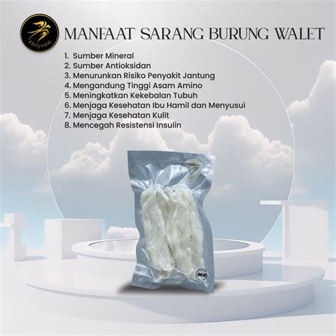 Sarang Burung Walet Bersih Patahan Medium Strip Medium Size Holynest