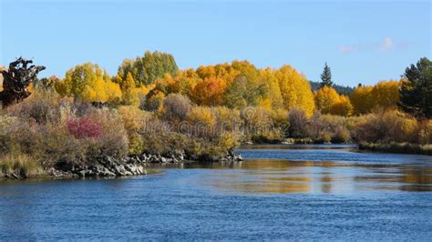 Fall Colors of Bend, Oregon Stock Image - Image of river, trail: 27500011