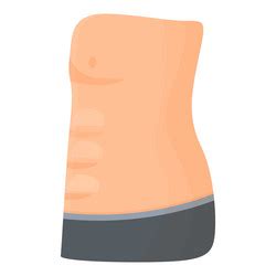 Slim Belly Icon Cartoon Fat Abdomen Royalty Free Vector