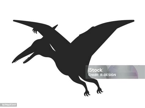 Illustration Of Dinosaur Pteranodon Silhouette Stock Illustration