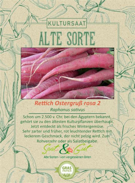 Alte Sorte BIO Rettich Ostergruß rosa 2 Saat Gut