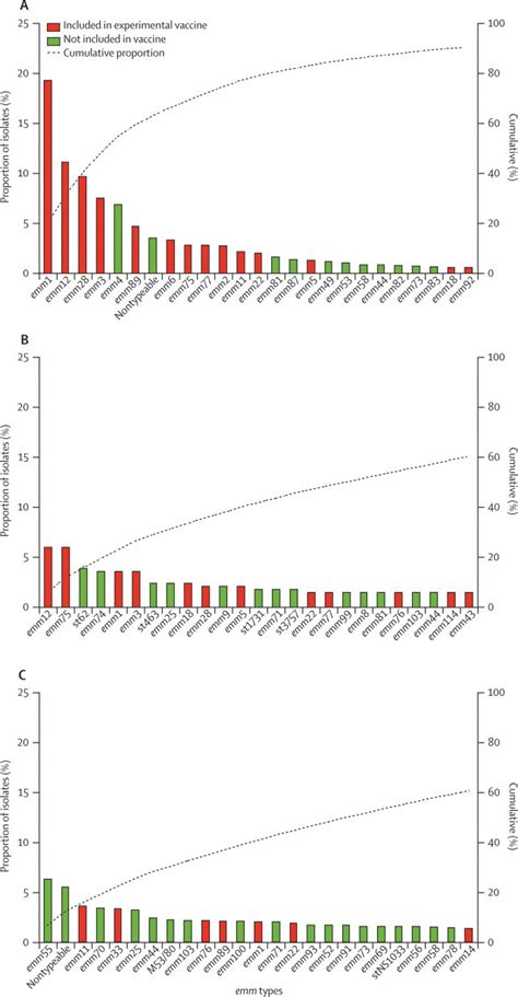 Epidemiology Of Streptococcus Pyogenes Streptococcus Pyogenes Basic