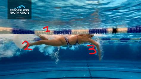 This Is Why Its So Hard To Get A High Elbow Catch Effortless Swimming