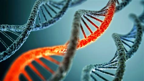 Biologi Molekuler Mempelajari Tentang Makromolekul Lipid Protein Dan