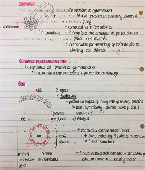 Ati Teas Practice Test Printable