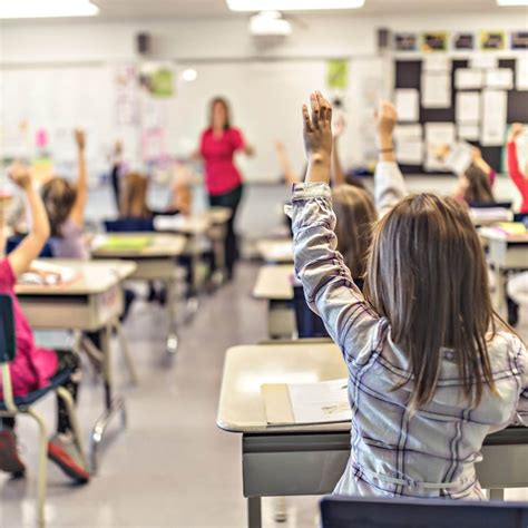 Deputada Any Ortiz Comemora Inclus O De Educa O Financeira Nas Escolas