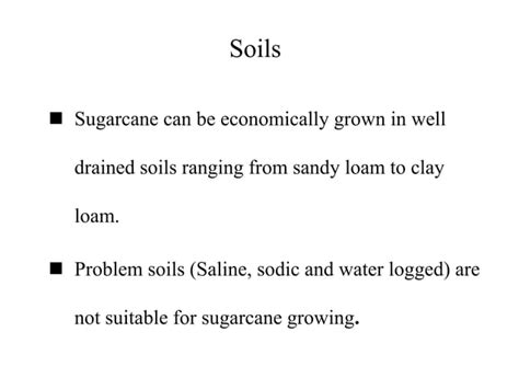 Sugarcane Trench Method Planting