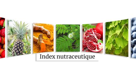 Collag Ne Caract Ristiques Et R Les Biologiques Nutrixeal Info