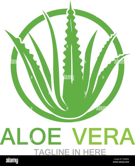 Aloe Vera Logo Vector Ilustration Stock Vector Image Art Alamy