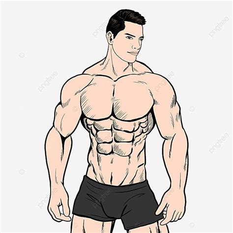 Abdominal Muscles Hd Transparent Hand Drawn Wind Abdominal Muscle