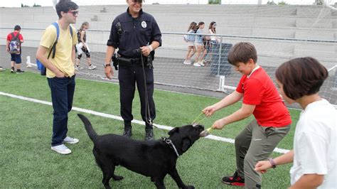 Unidades Caninas Policiales Se Forman En C Ceres En La Detecci N De