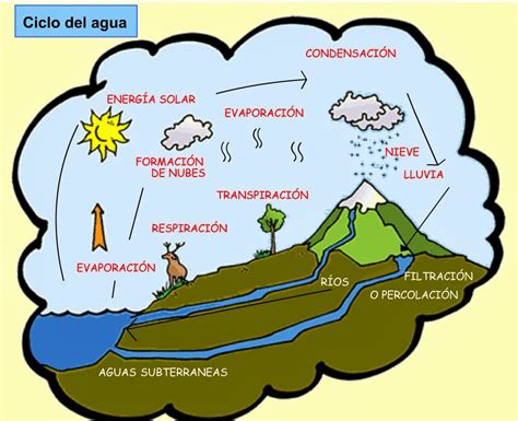 Diagrama Del Ciclo Del Agua