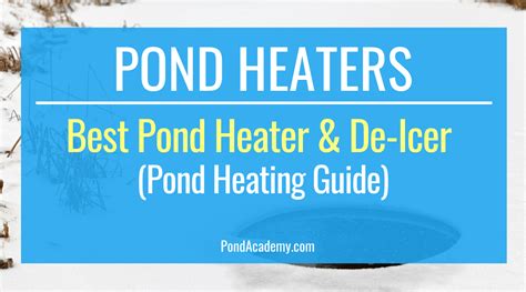 Choosing The Best Pond Heater De Icer For Your Pond