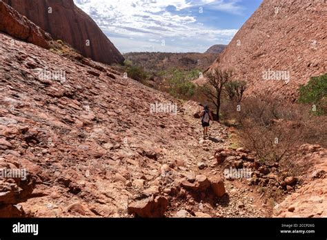 Man Walking Along A Path Touristic Walk Dry Landscape Vegetation And