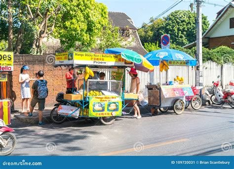 Asian Style Food Carts Line Up Editorial Photo Image Of Thai Asian