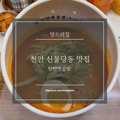 천안 불당동 신불당동 맛집 생활의 달인 맛집 신불당동 혼밥가능 맛집 탄탄면공방 네이버 블로그