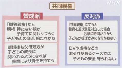 離婚後の親権 「共同」選択案と「単独」維持案を併記 法制審 Nhk政治マガジン