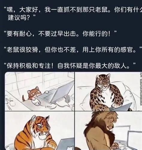 你有哪些让人笑到肚子疼的搞笑图片？ 60 知乎