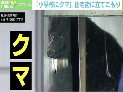 福島県の小学校にクマが出没 猟友会が麻酔銃で眠らせ、山奥に返す 2021年7月10日掲載 ライブドアニュース