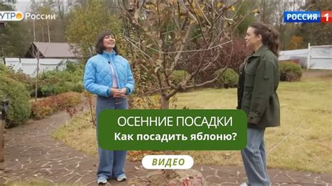 Как посадить яблоню осенью? - YouTube