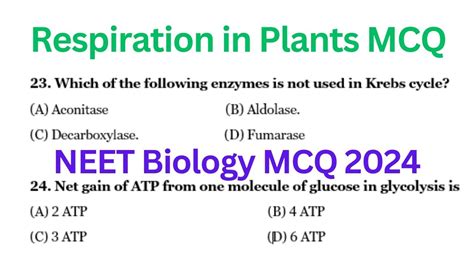 Respiration In Plants MCQ Biology MCQ 2024 NEET 2024 MCQ Class 11