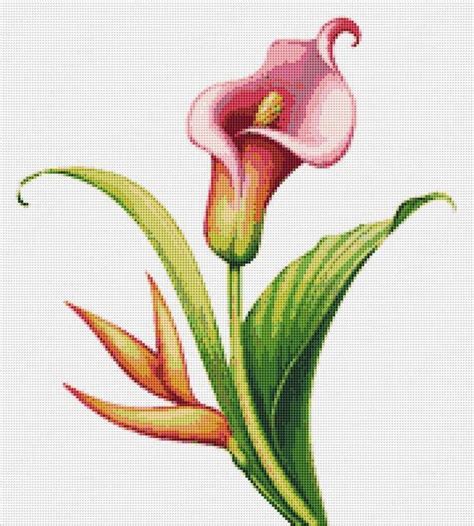 Lily Cross Stitch Pattern 3 Instant Pdf Download Calla Lily Etsy