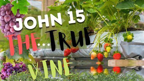 John 15 The True Vine Youtube