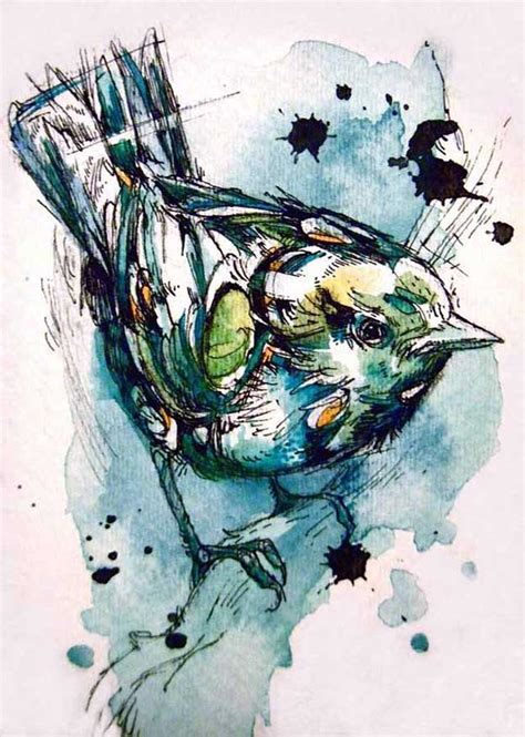 Abby Diamonds Beautiful Ink And Watercolour Birds Art British Bird