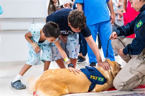 Prf Realiza Campanha Contra O C Ncer Infantil Em Bras Lia Df