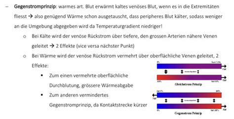 Lm Technik Praktikum Karteikarten Quizlet