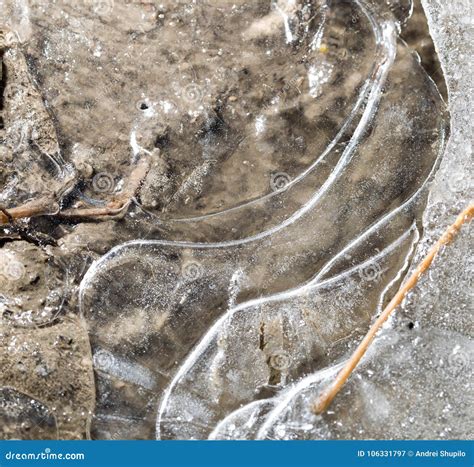 Ice On The Ground As A Background Stock Image Image Of Nature Cold