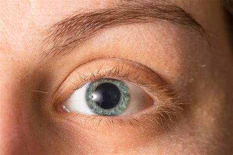 Eye Dilation Guide Key Facts Side Effects How It Works