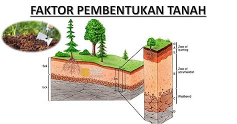 Faktor Faktor Pembentukan Tanah Homecare