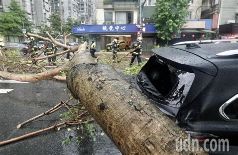 午後降暴雨 北市路樹倒波及路邊一轎車 生活新聞 生活 聯合新聞網