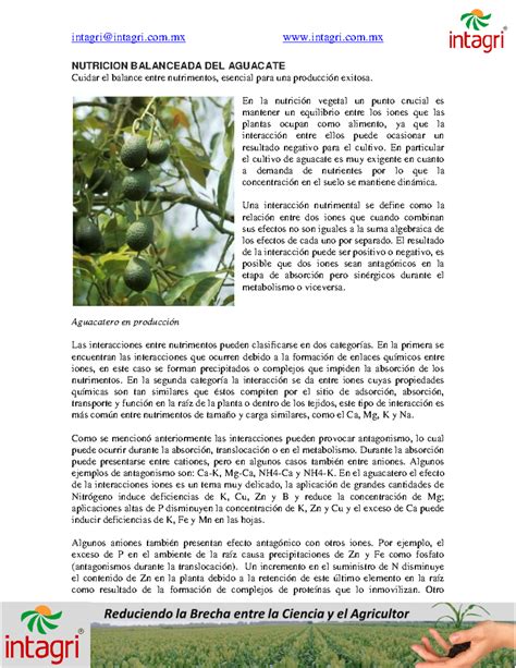 01 Nutricion Balanceada Del Aguacate Intagri Intagri Intagri