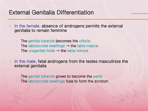 Ppt Chpter 9 Normal And Abnormal Sexual Development Powerpoint